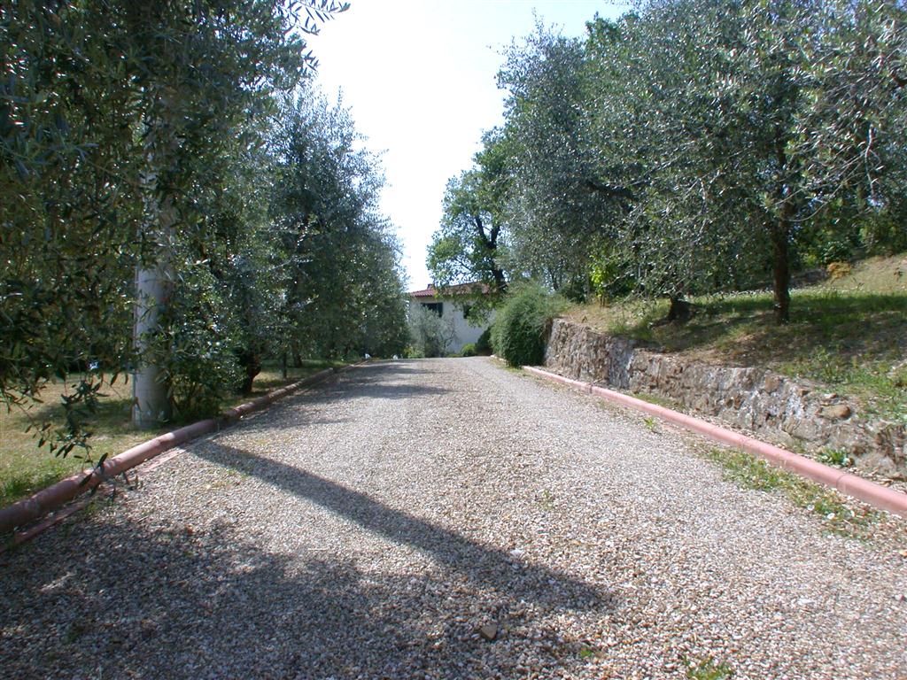 VenditaCase ColonicheLoro Ciuffenna